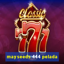 mayseeds 444 pelada